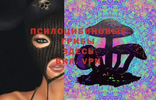 дмт Медногорск