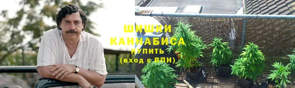 стаф Мегион