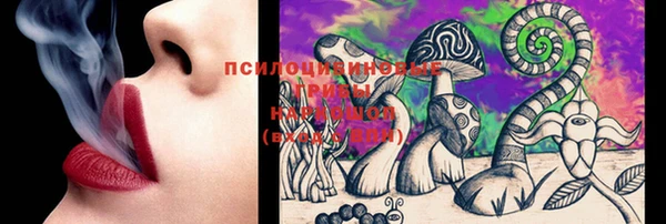 дмт Медногорск